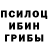 Галлюциногенные грибы Psilocybe edy wijaya