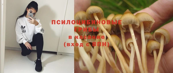 ПСИЛОЦИБИНОВЫЕ ГРИБЫ Новокубанск