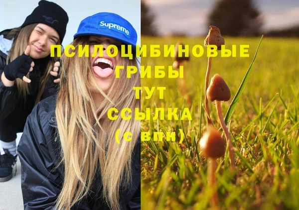 меф Новозыбков