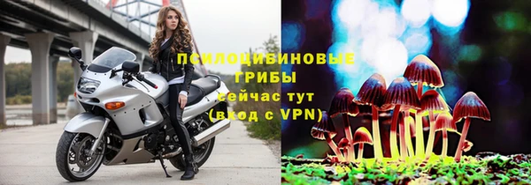 мескалин Новодвинск