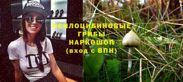 мескалин Новодвинск