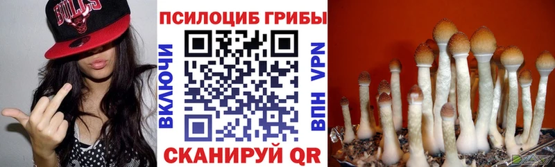 магазин продажи наркотиков  Саратов  дарк нет наркотические препараты  Псилоцибиновые грибы Psilocybine cubensis 