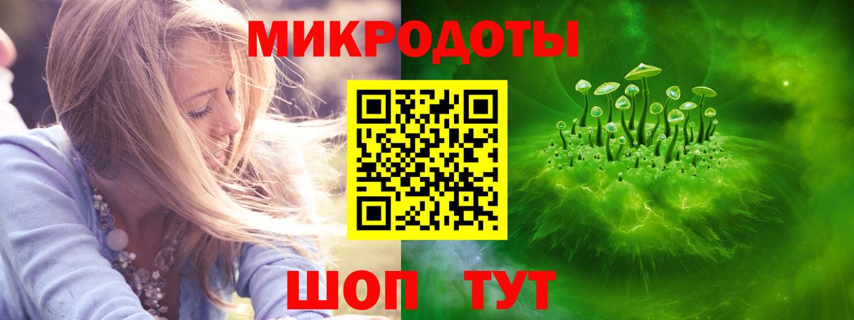 Галлюциногенные грибы Psilocybine cubensis Саратов